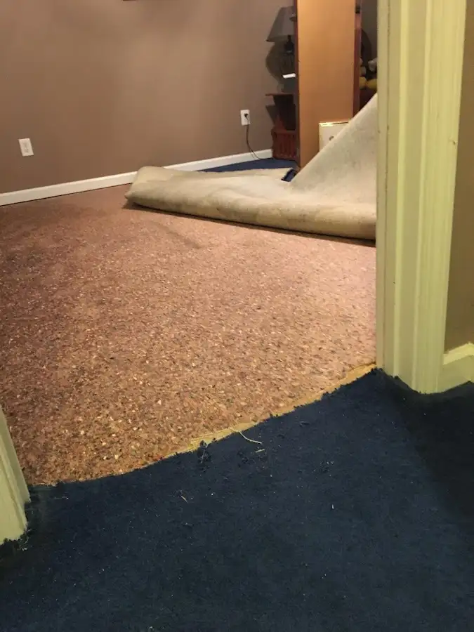 Carpet pad removal revealing water damage during Drying & Dehumidification in San Lorenzo