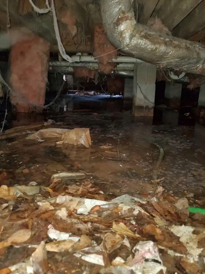 Crawl space flood assessment for Leak Detection & Repair in San Lorenzo